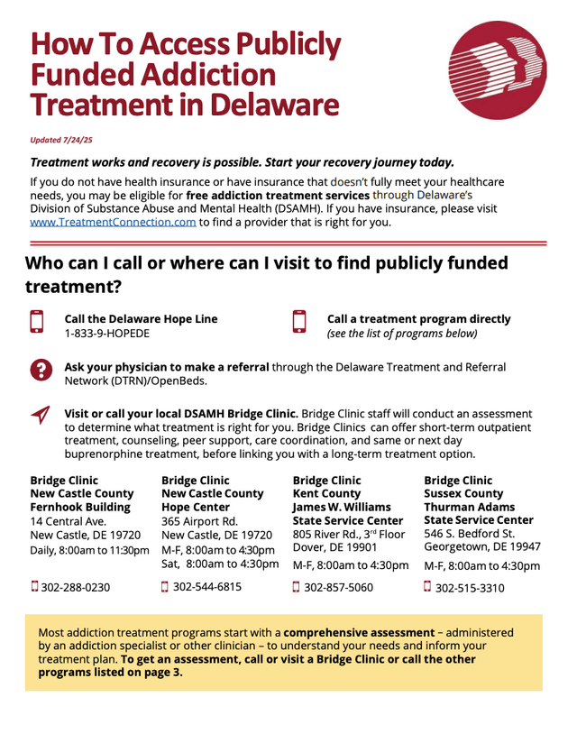 DSAMH Publicly Funded Flyer and Editable